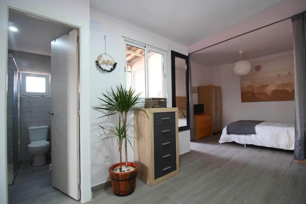 Suite Puerta Osario Con Terraza 세비야 외부 사진